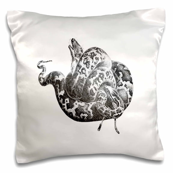 3dRose, Print of Vintage Indian Python Snake, 16x16 inch Pillow Case