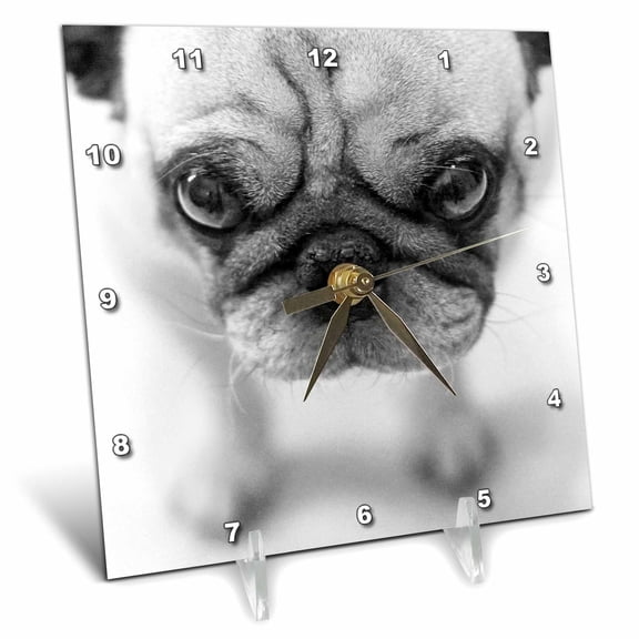 3dRose, Pug, 6x6 Desk Clock