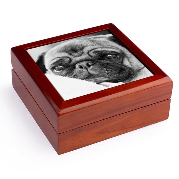 3dRose, Pug Dog in black and white, Jewelry Box 5.5x5.5 inch with 4 inch tile