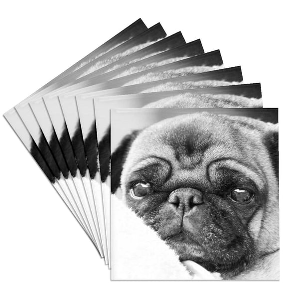 3dRose, Pug Dog in black and white, Set of 8 Ceramic Tile Coasters