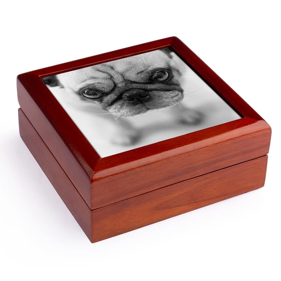 3dRose, Pug, Jewelry Box 5.5x5.5 inch with 4 inch tile