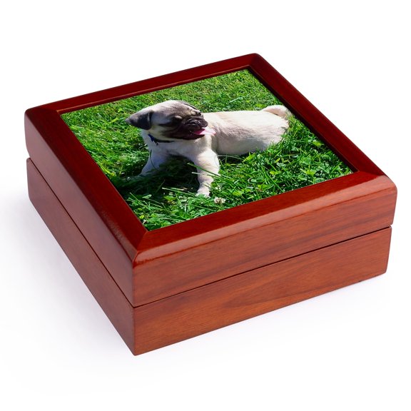 3dRose, Pug Puppy in Grass , Jewelry Box 5.5x5.5 inch with 4 inch tile