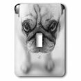 thumbnail image 1 of 3dRose, Pug, single toggle switch, 1 of 1