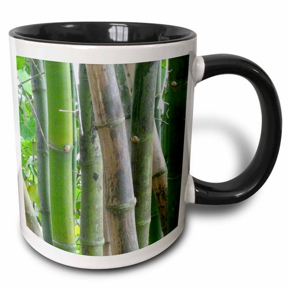 3drose, Pure Bamboo, 15oz Two-tone Black Mug