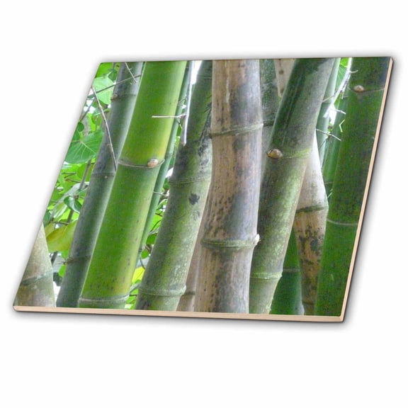 3dRose, Pure Bamboo, 8 Inch Glass Tile