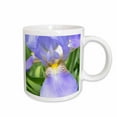 thumbnail image 1 of 3drose, Purple Iris Flower, 11oz Mug, 1 of 6