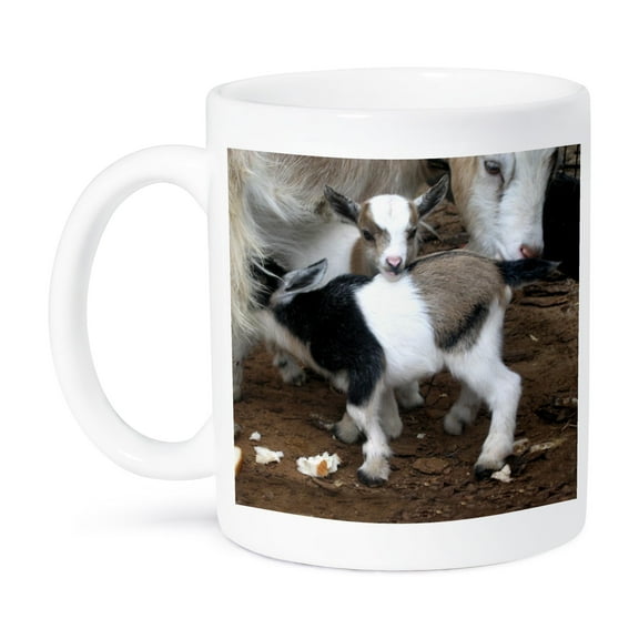 3dRose, Pygmy goat family, 15oz Mug