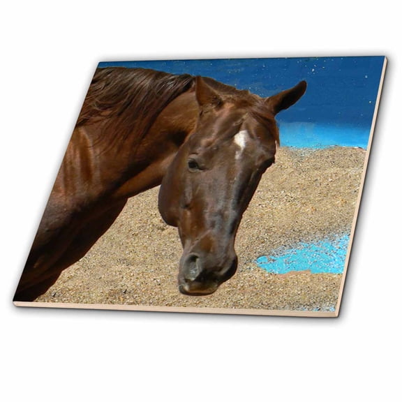 3dRose, Quarter Horse, 4 Inch Ceramic Tile