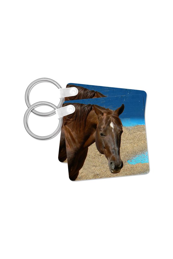 , Quarter Horse, set of 2 Key Chains