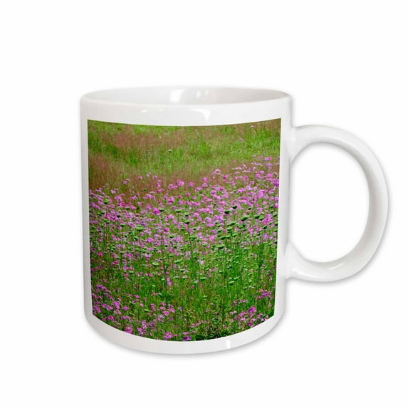 3drose, Queen Annes Lace, Drummond Phlox Flower South Carolina - Us41 Aje0021 - Adam Jones, 11oz Mug
