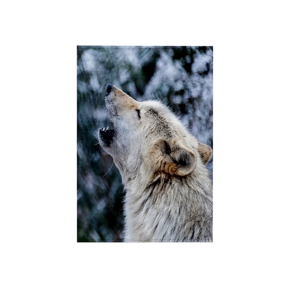 3dRose, ROCKY MOUNTAIN GRAY WOLF HOWLING, 15x22 Hand Towel