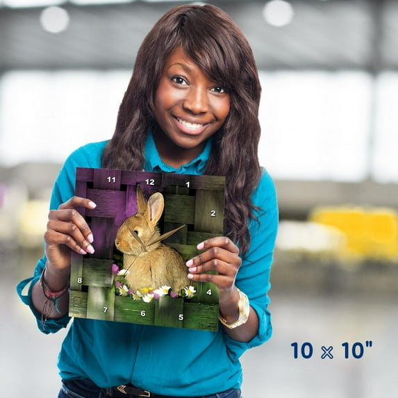 3dRose, Rabbit, 10x10 Wall Clock
