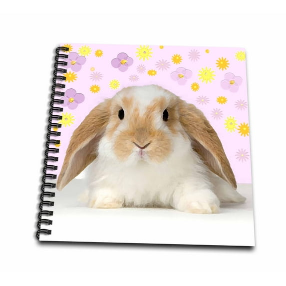 3dRose, Rabbit, Drawing Book 8 x 8 inch