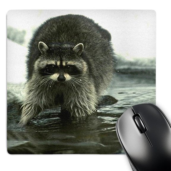 3dRose, Raccoon, Raccoons, MousePad