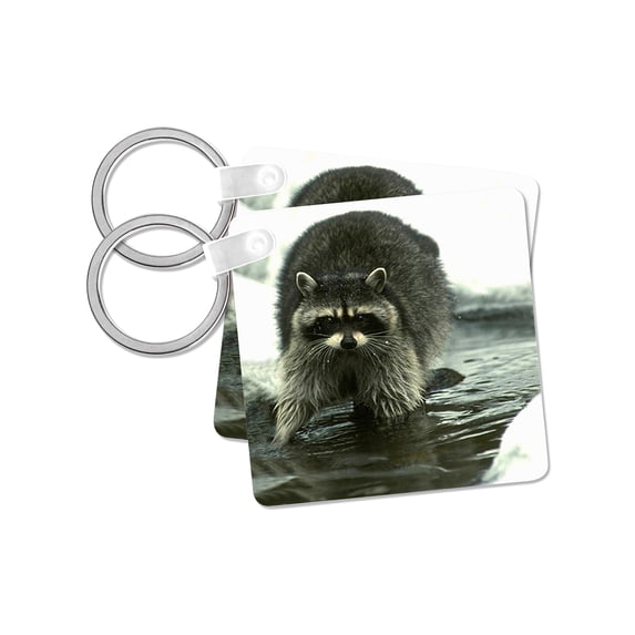3dRose, Raccoon, Raccoons, set of 2 Key Chains