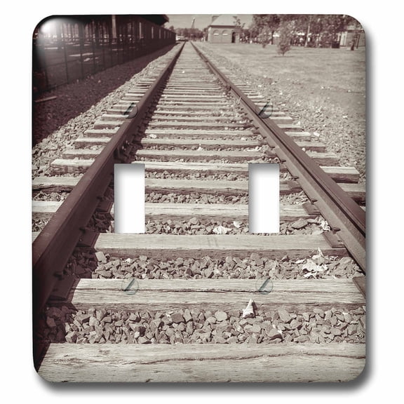 3dRose, Railroad tracks, double toggle switch