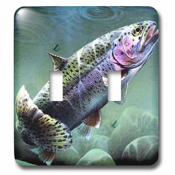 3dRose, Rainbow Trout, double toggle switch
