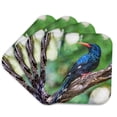 thumbnail image 1 of 3drose, Red-billed Green Wood Hoopoe, Waikiki, Honolulu, Hawaii., Set of 4 Coasters - Soft, 1 of 7