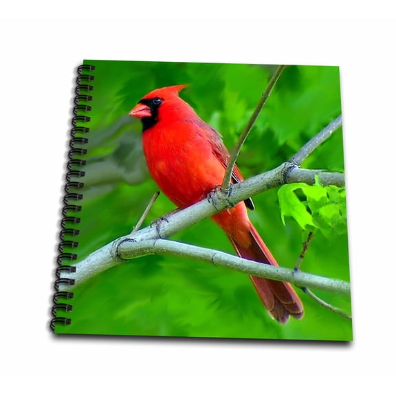 3dRose, Red Cardinal, Memory Book 12 x 12 inch
