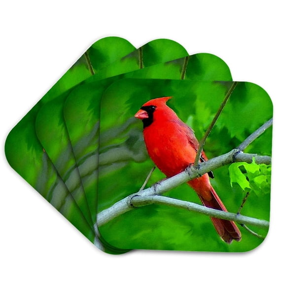 3drose, Red Cardinal, Set of 4 Coasters - Soft