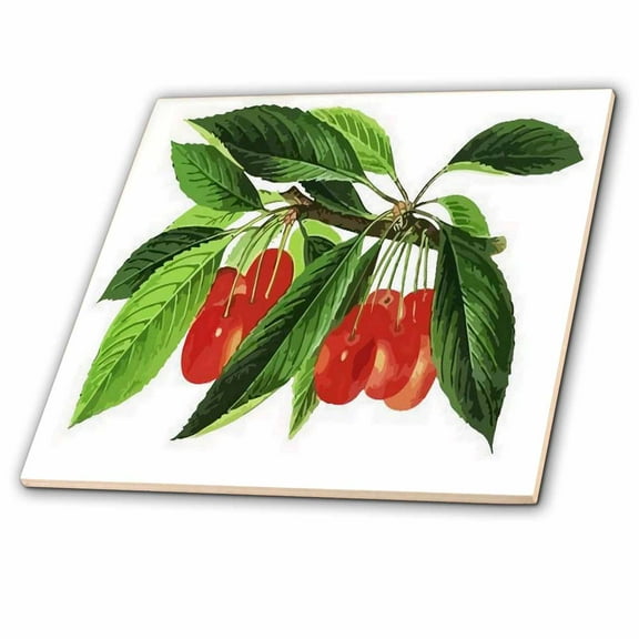 3dRose, Red Cherries Vector on White Background, 4 Inch Ceramic Tile