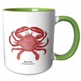 thumbnail image 1 of 3drose, Red Crab, 11oz Two-tone Green Mug, 1 of 6