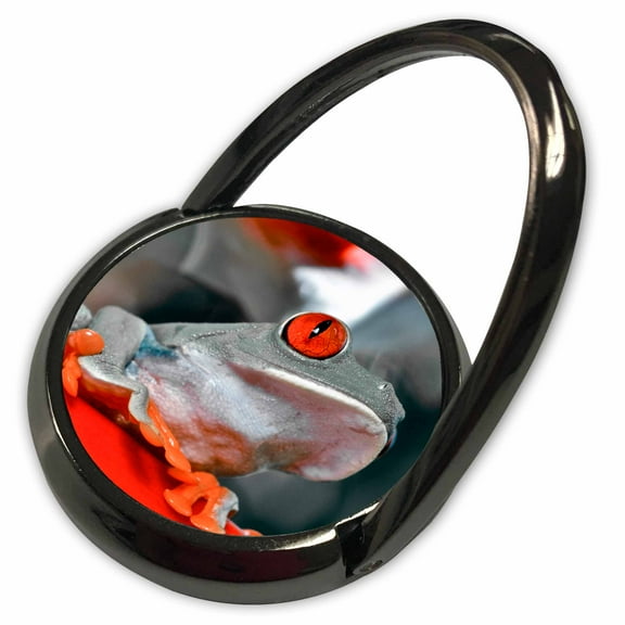 3dRose, Red-Eyed Leaf Tree Frog - Gray, Phone Ring