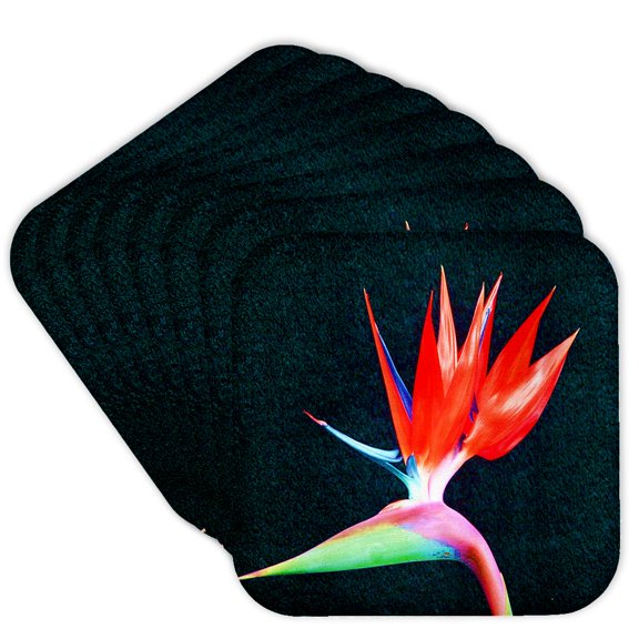 3dRose, Red Fire Bird of Paradise , set of 8 Coasters - Soft