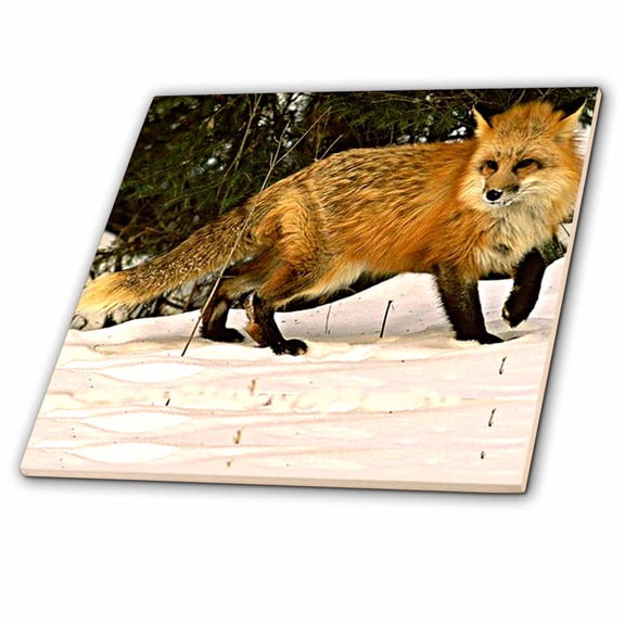 3dRose, Red Fox, 6 Inch Ceramic Tile