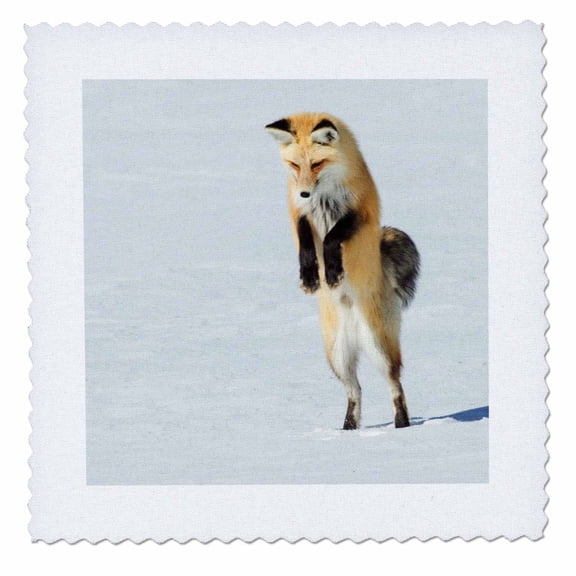 3dRose, Red Fox Leaping, 10x10 inch quilt square