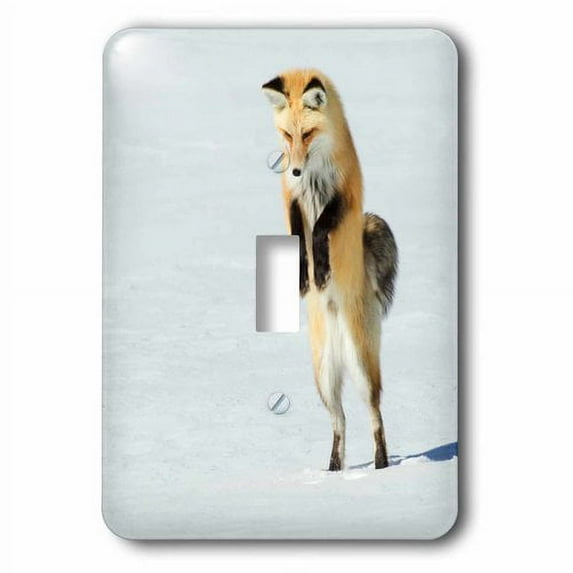 3dRose, Red Fox Leaping, single toggle switch