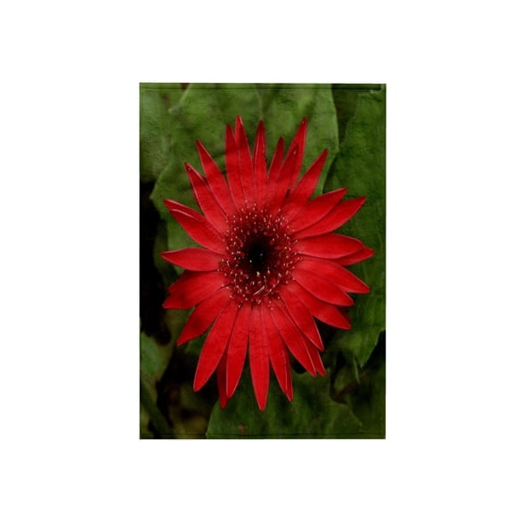 3dRose, Red Gerber, 15x22 Hand Towel