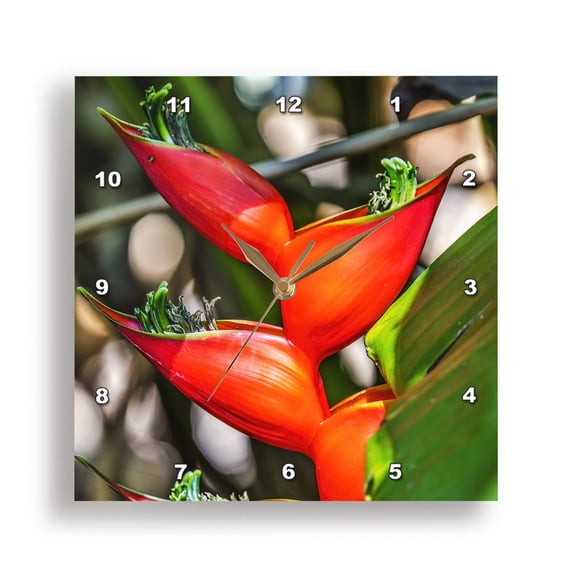 3dRose, Red Heliconia Rostrata, Botanic Garden, Coral Gables, Florida., 15x15 Wall Clock