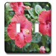 thumbnail image 1 of 3dRose, Red Hibiscus Flower - NA01 DPB0052 - Douglas Peebles, double toggle switch, 1 of 1