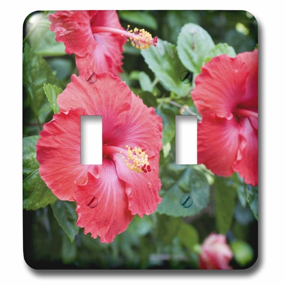 3dRose, Red Hibiscus Flower - NA01 DPB0052 - Douglas Peebles, double toggle switch