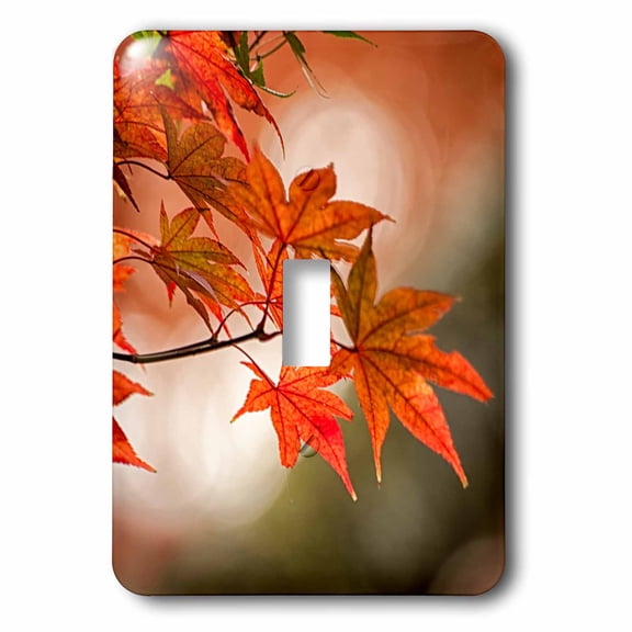 3dRose, Red Japanese maple leaves in Fall, single toggle switch