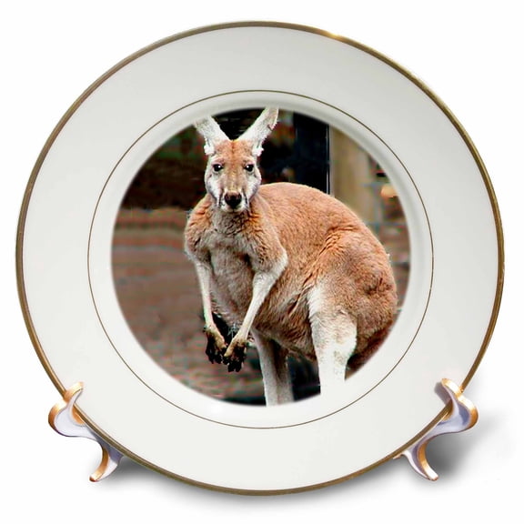 3dRose, Red Kangaroo, 8 inch Porcelain Plate