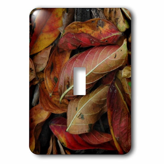 3dRose, Red Leaves Closeup, single toggle switch