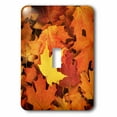 thumbnail image 1 of 3dRose, Red, Orange and yellow maples leaves in Autumn, single toggle switch, 1 of 1