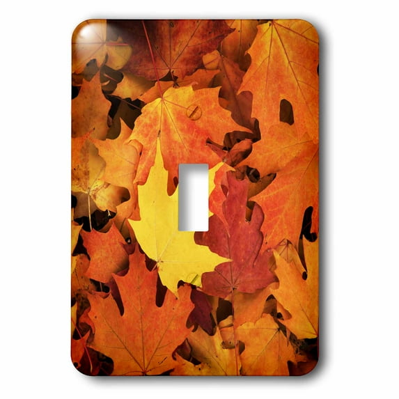 3dRose, Red, Orange and yellow maples leaves in Autumn, single toggle switch
