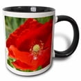 thumbnail image 1 of 3drose, Red Poppy Ii, 11oz Two-tone Black Mug, 1 of 6
