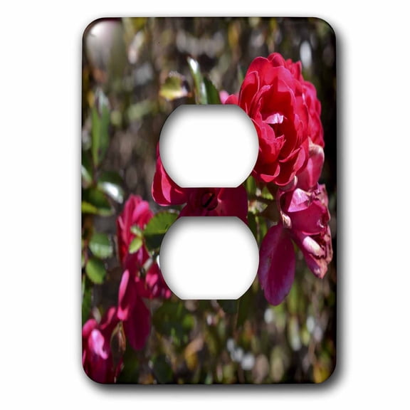 3dRose, Red Roses, 2 plug outlet cover