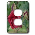 thumbnail image 1 of 3dRose, Red Roses Wood Design Romantic Flowers, 2 plug outlet cover, 1 of 1