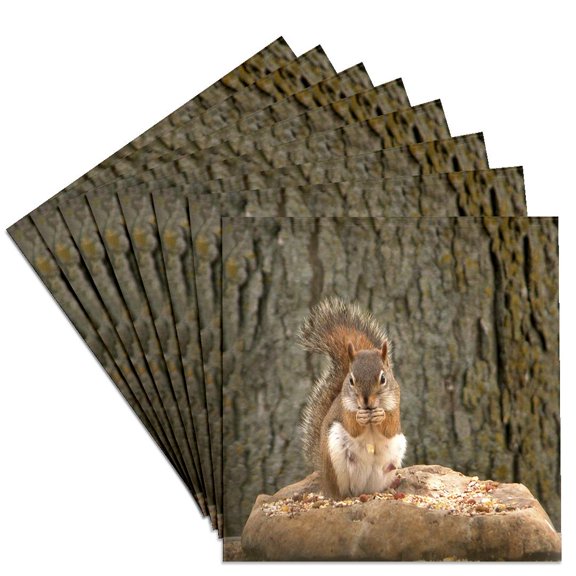 3drose, Red Squirrel, Set of 8 Ceramic Tile Coasters