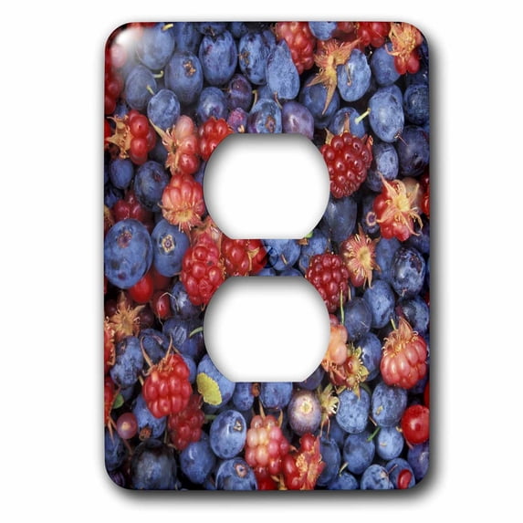 3dRose, Red and Blue Berries, 2 plug outlet cover