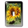 thumbnail image 1 of 3dRose, Red and Yellow Sunflowers Reflections- Flowers- Photography, single toggle switch, 1 of 1