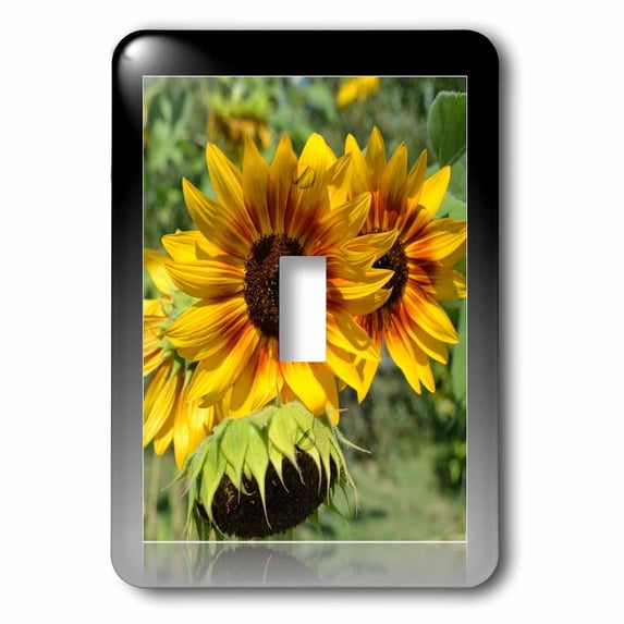 3dRose, Red and Yellow Sunflowers Reflections- Flowers- Photography, single toggle switch