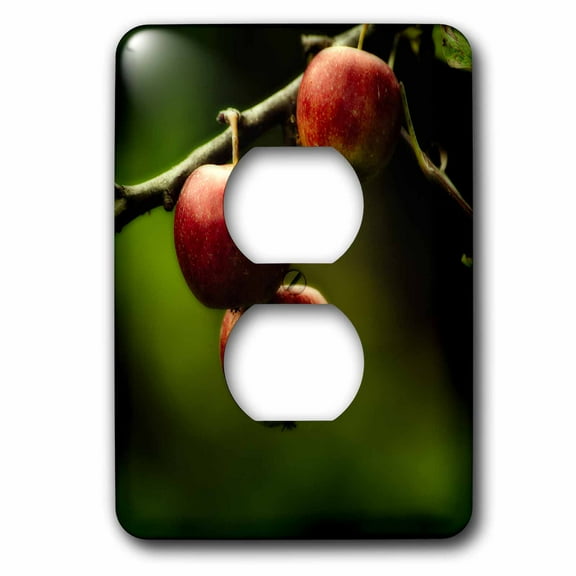 3dRose, Red apples hanging from branch still-life, 2 plug outlet cover