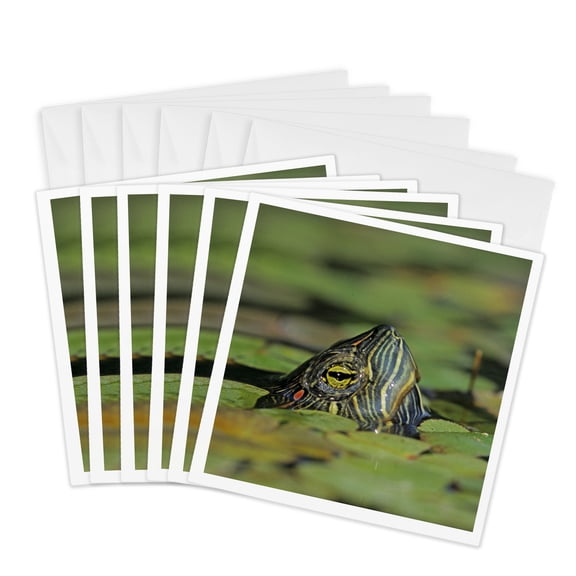 3drose, Red-eared Slider Turtle, Rio Grande Valley, Texas - Us44 Rnu0218 - Rolf Nussbaumer, 6 Greeting Cards with Envelopes
