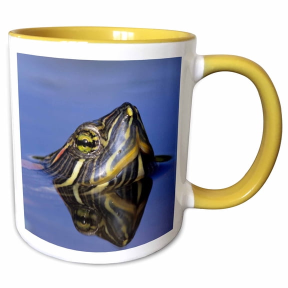 3drose, Red-eared Slider Turtle, Rio Grande Valley, Texas - Na02 Rnu0745 - Rolf Nussbaumer, 15oz Two-tone Yellow Mug